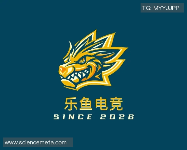 专访杨强：深入探讨足球成功背后的秘密与策略
